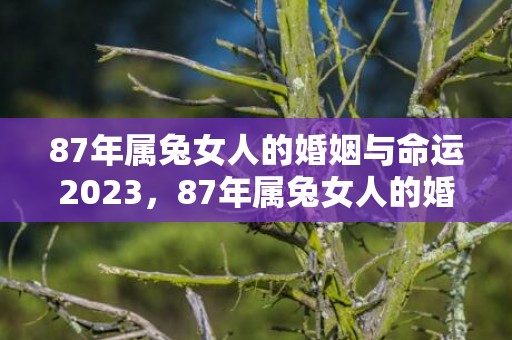 87年属兔女人的婚姻与命运2023，87年属兔女人的婚姻与命运