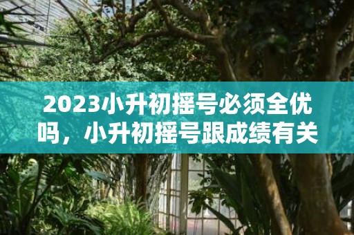 2023小升初摇号必须全优吗，小升初摇号跟成绩有关吗