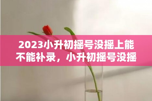 2023小升初摇号没摇上能不能补录，小升初摇号没摇上怎样补录