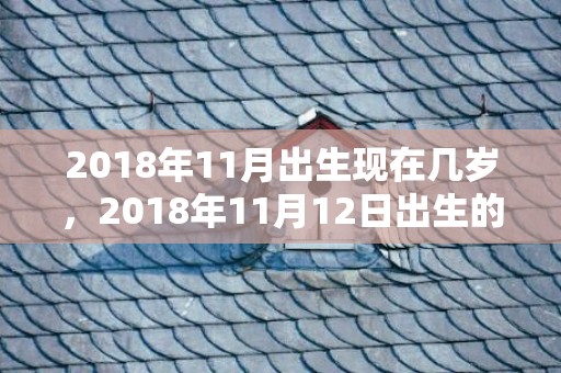 2018年11月出生现在几岁，2018年11月12日出生的女孩名字，女宝宝五行起名