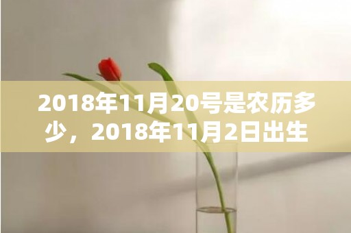 2018年11月20号是农历多少，2018年11月2日出生宝宝怎么取乳名？乳名起名方法？