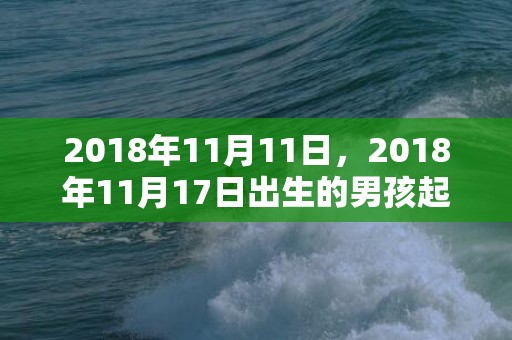 2018年11月11日，2018年11月17日出生的男孩起名，男宝宝五行名字推荐