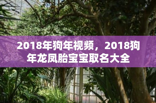 2018年狗年视频，2018狗年龙凤胎宝宝取名大全