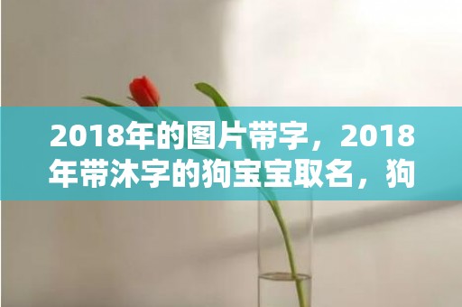 2018年的图片带字，2018年带沐字的狗宝宝取名，狗宝宝沐字名推荐