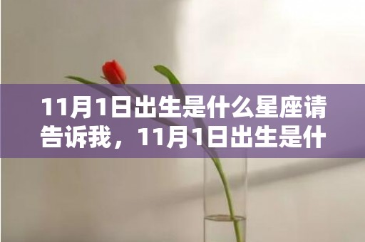 11月1日出生是什么星座请告诉我，11月1日出生是什么命