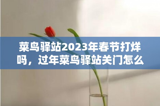 菜鸟驿站2023年春节打烊吗，过年菜鸟驿站关门怎么办