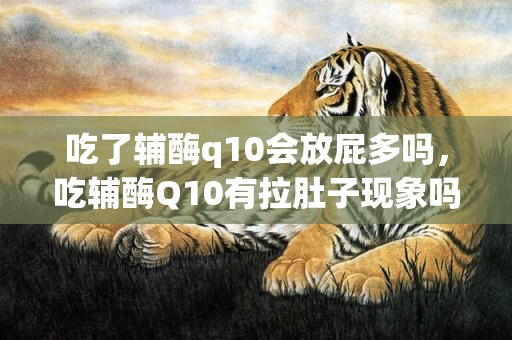 吃了辅酶q10会放屁多吗，吃辅酶Q10有拉肚子现象吗