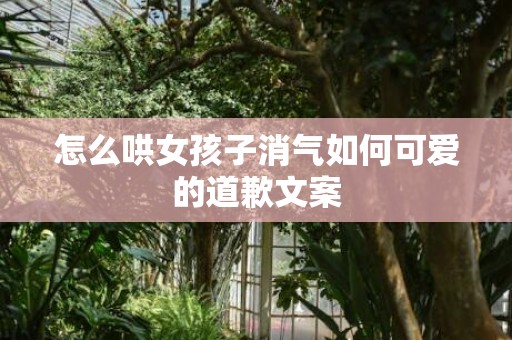 怎么哄女孩子消气如何可爱的道歉文案