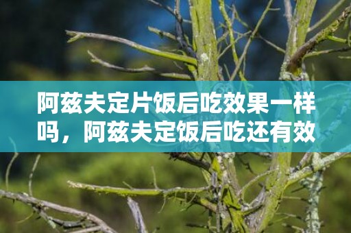 阿兹夫定片饭后吃效果一样吗，阿兹夫定饭后吃还有效果吗