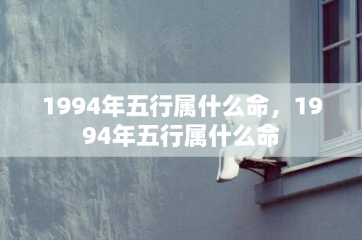 1994年五行属什么命，1994年五行属什么命