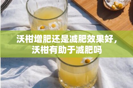 沃柑增肥还是减肥效果好，沃柑有助于减肥吗