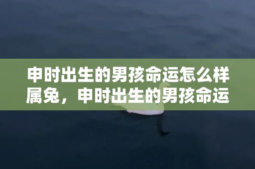 申时出生的男孩命运怎么样属兔，申时出生的男孩命运怎么样