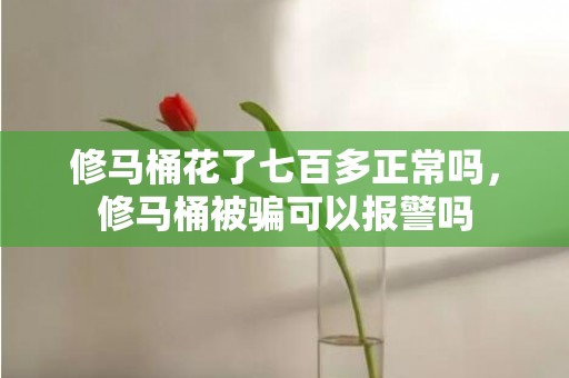 修马桶花了七百多正常吗，修马桶被骗可以报警吗