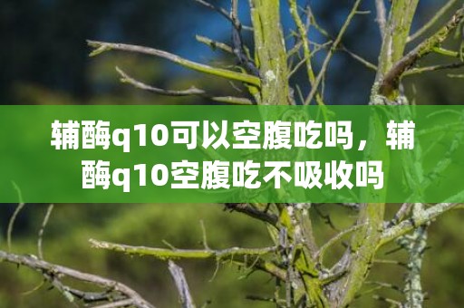 辅酶q10可以空腹吃吗，辅酶q10空腹吃不吸收吗