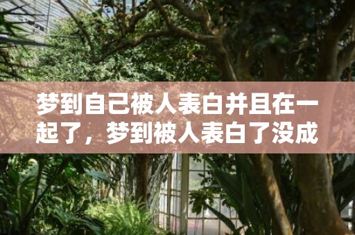 梦到自己被人表白并且在一起了，梦到被人表白了没成功啥意思，梦见有人表白我,但是我拒绝了