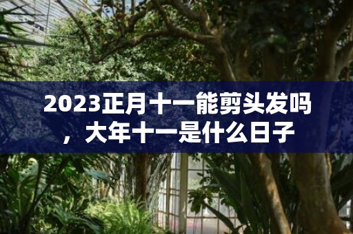 2023正月十一能剪头发吗，大年十一是什么日子