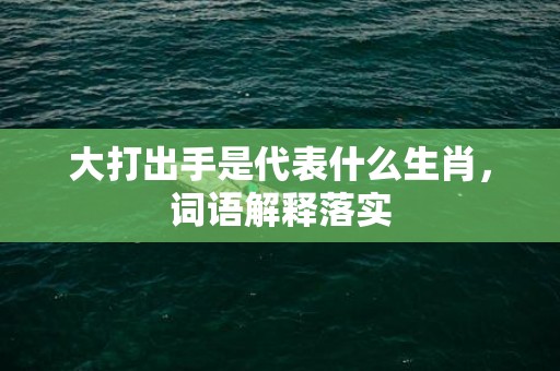 大打出手是代表什么生肖，词语解释落实