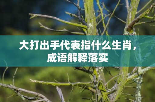 大打出手代表指什么生肖，成语解释落实