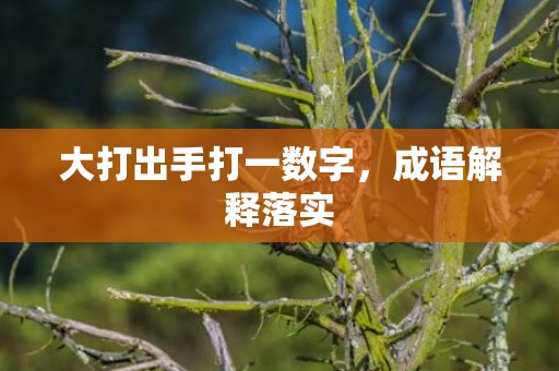 大打出手打一数字，成语解释落实