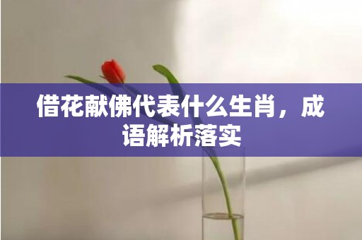 借花献佛代表什么生肖，成语解析落实