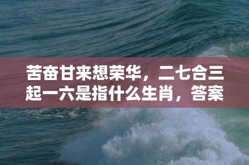 苦奋甘来想荣华，二七合三起一六是指什么生肖，答案解释落实