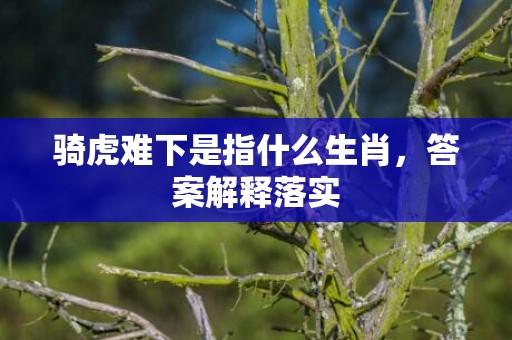 骑虎难下是指什么生肖，答案解释落实