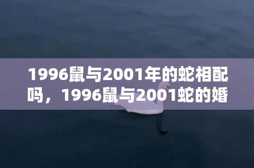 1996鼠与2001年的蛇相配吗，1996鼠与2001蛇的婚姻相配吗