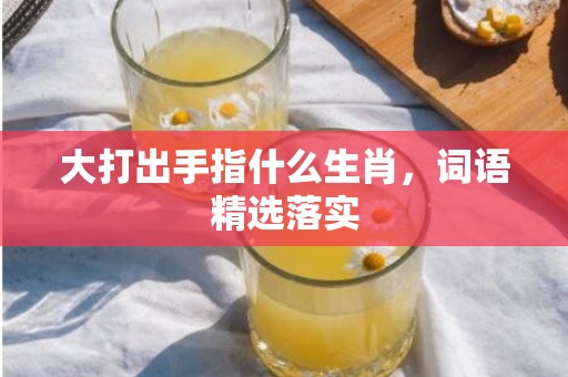 大打出手指什么生肖，词语精选落实