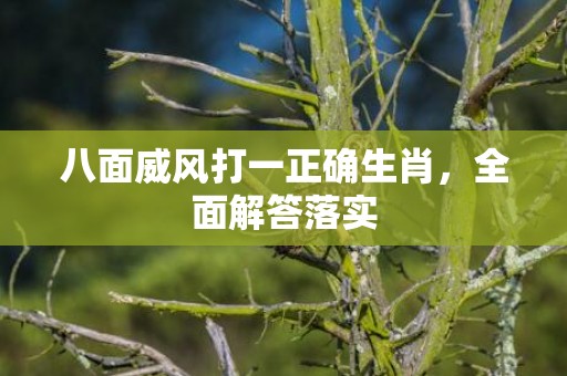 八面威风打一正确生肖，全面解答落实