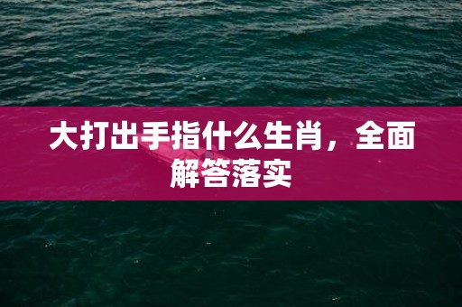 大打出手指什么生肖，全面解答落实