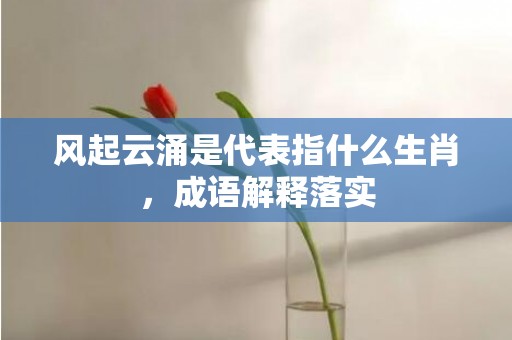 风起云涌是代表指什么生肖，成语解释落实