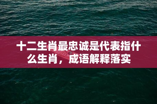 十二生肖最忠诚是代表指什么生肖，成语解释落实