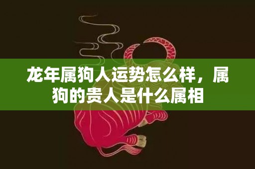 龙年属狗人运势怎么样，属狗的贵人是什么属相