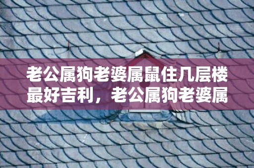 老公属狗老婆属鼠住几层楼最好吉利，老公属狗老婆属鼠好不好