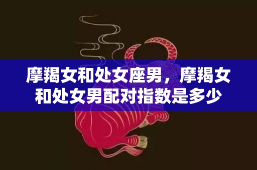 摩羯女和处女座男，摩羯女和处女男配对指数是多少