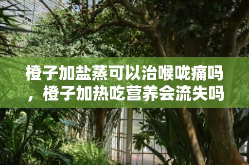 橙子加盐蒸可以治喉咙痛吗，橙子加热吃营养会流失吗