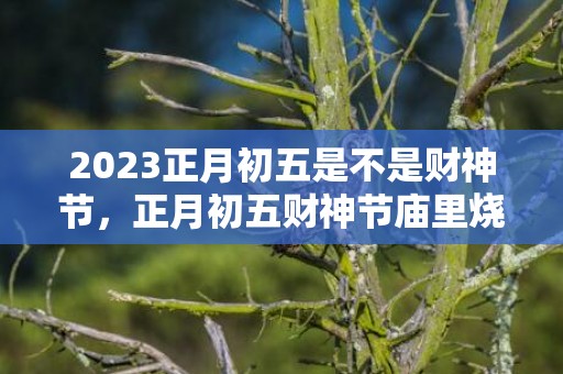 2023正月初五是不是财神节，正月初五财神节庙里烧香吗