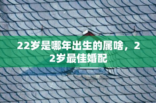 22岁是哪年出生的属啥，22岁最佳婚配