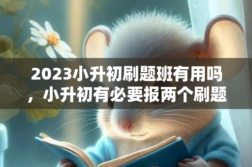 2023小升初刷题班有用吗，小升初有必要报两个刷题班吗