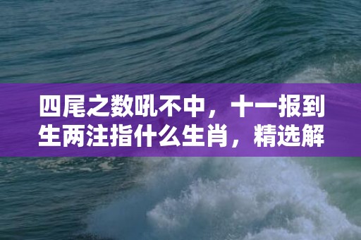 四尾之数吼不中，十一报到生两注指什么生肖，精选解释落实