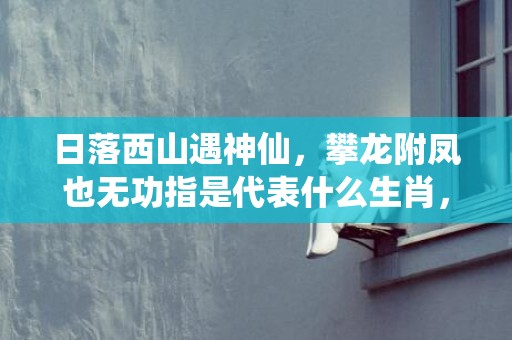 日落西山遇神仙，攀龙附凤也无功指是代表什么生肖，谜底解析落实