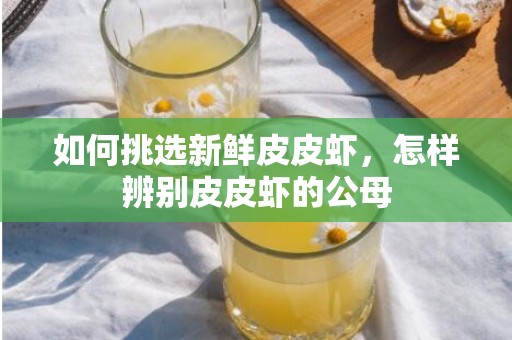 如何挑选新鲜皮皮虾，怎样辨别皮皮虾的公母