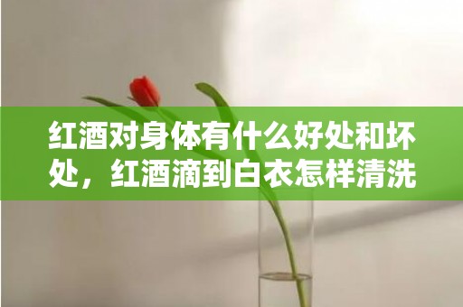 红酒对身体有什么好处和坏处，红酒滴到白衣怎样清洗