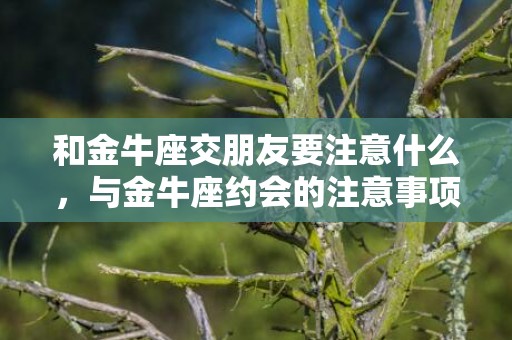 和金牛座交朋友要注意什么，与金牛座约会的注意事项