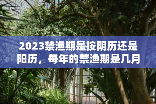 2023禁渔期是按阴历还是阳历，每年的禁渔期是几月份