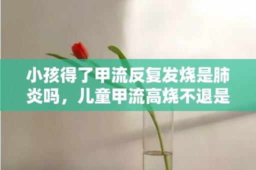 小孩得了甲流反复发烧是肺炎吗，儿童甲流高烧不退是肺炎吗