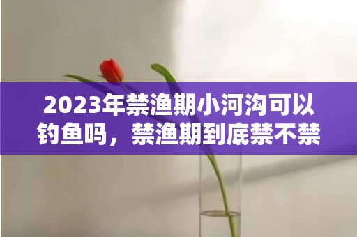 2023年禁渔期小河沟可以钓鱼吗，禁渔期到底禁不禁钓