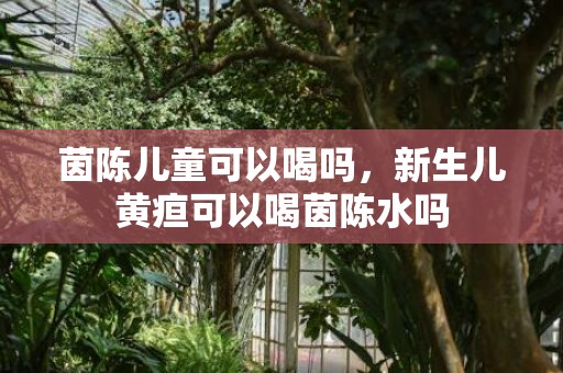 茵陈儿童可以喝吗，新生儿黄疸可以喝茵陈水吗