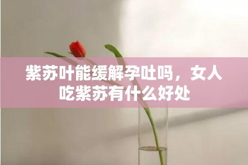 紫苏叶能缓解孕吐吗，女人吃紫苏有什么好处