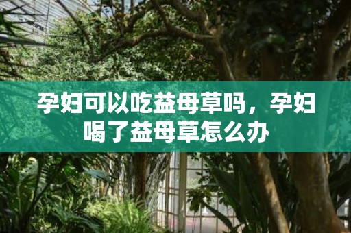 孕妇可以吃益母草吗，孕妇喝了益母草怎么办